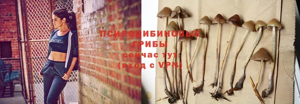 герыч Козельск