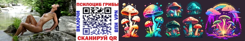 Псилоцибиновые грибы мухоморы  купить наркотик  Хадыженск 