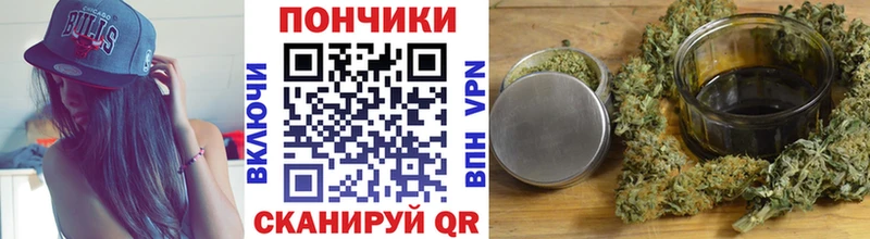 Каннабис сатива  закладка  Хадыженск 